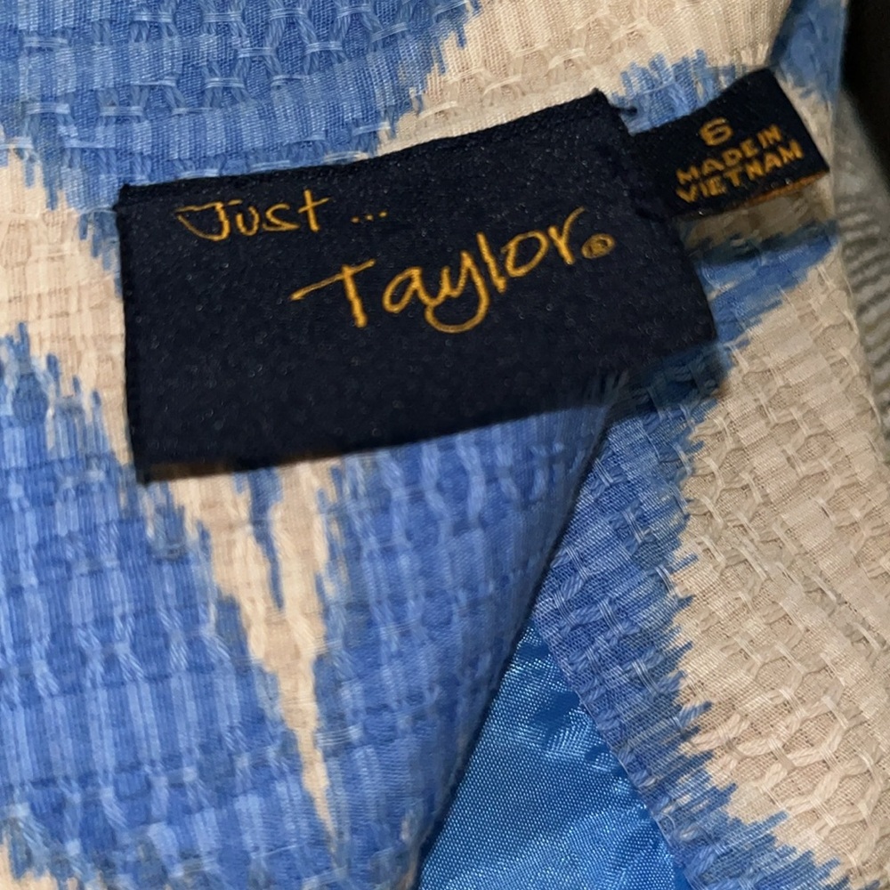 Taylor Dresses Women's Tan and Blue Fit-and-Flare - Picture 8 of 9